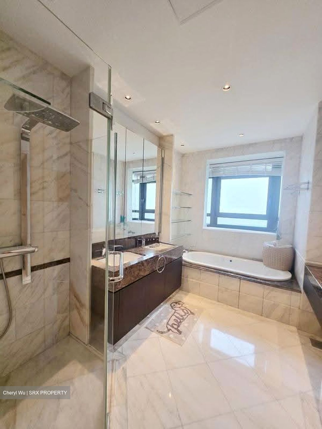 Ardmore Park (D10), Condominium #615318801